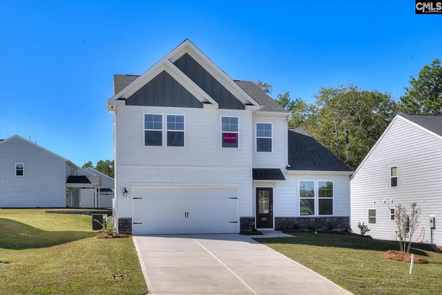 353 Grannys Cut Way, Chapin, SC 29036 - #3