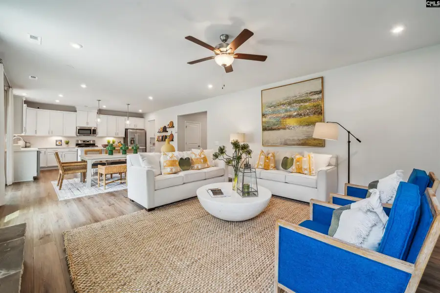 360 Grannys Cut Way, Chapin, SC 29036 - #3