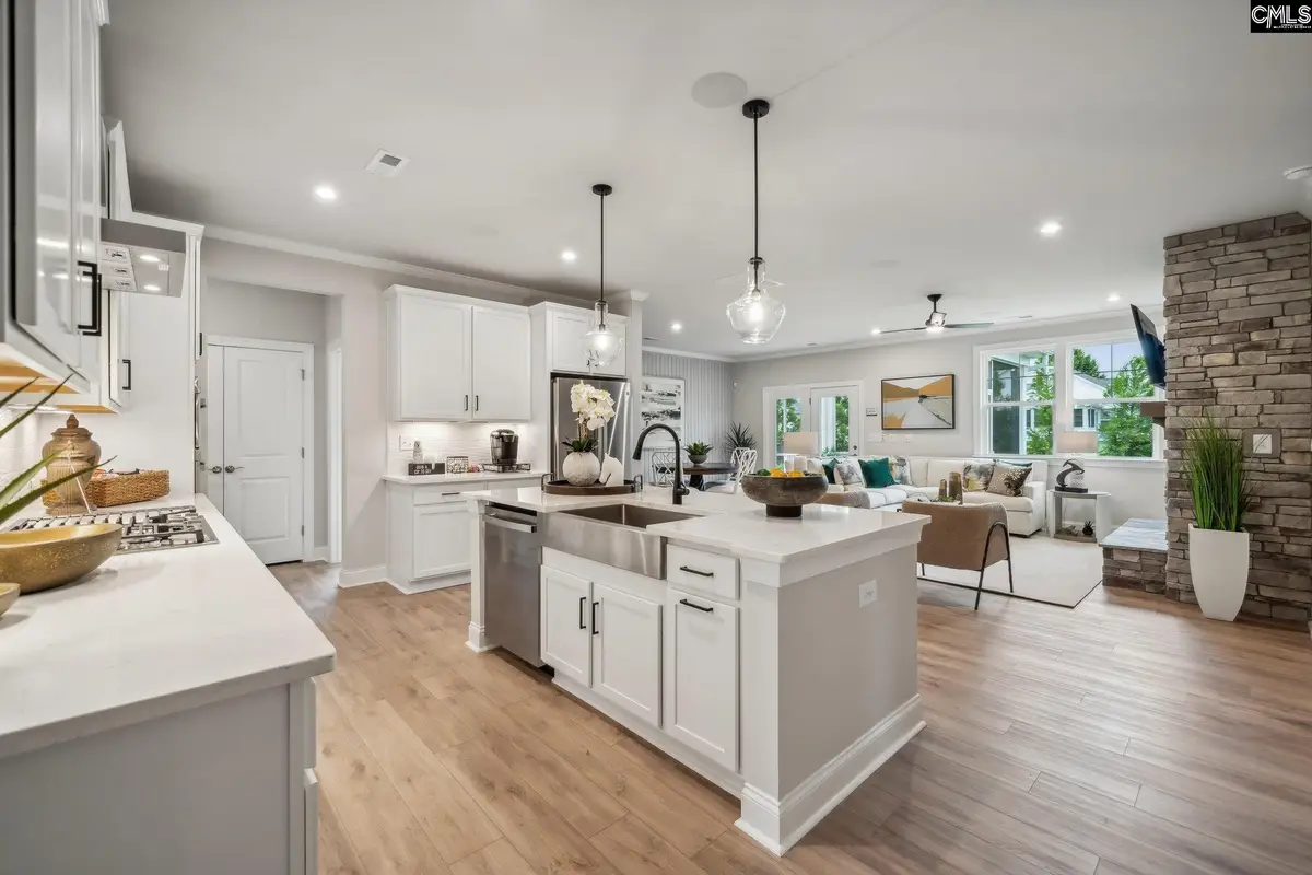 491 Grannys Cut Way, Chapin, SC 29036 - #1