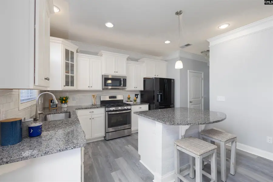 64 Downing Circle, Gilbert, SC 29054 - #3