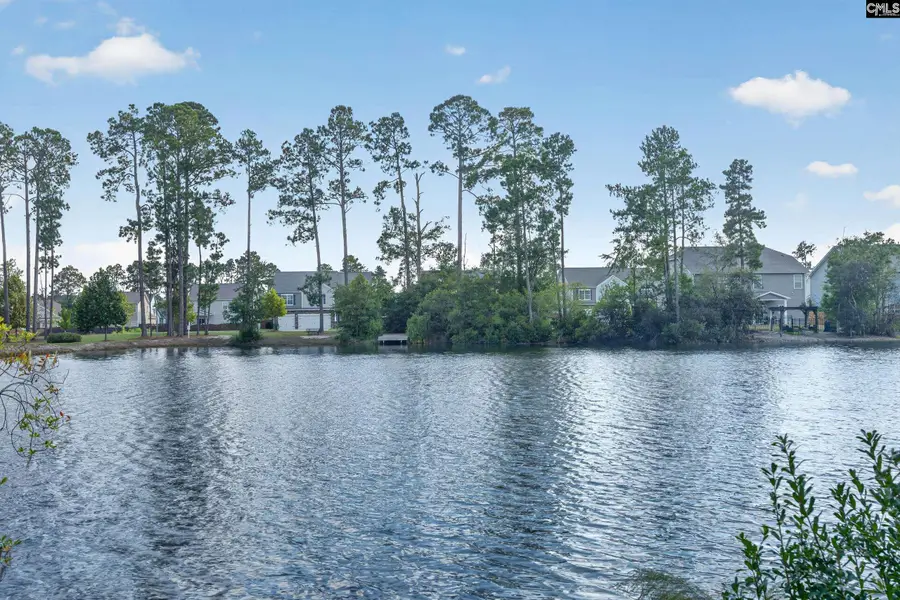 552 Rimer Pond Road, Blythewood, SC 29016 - #3