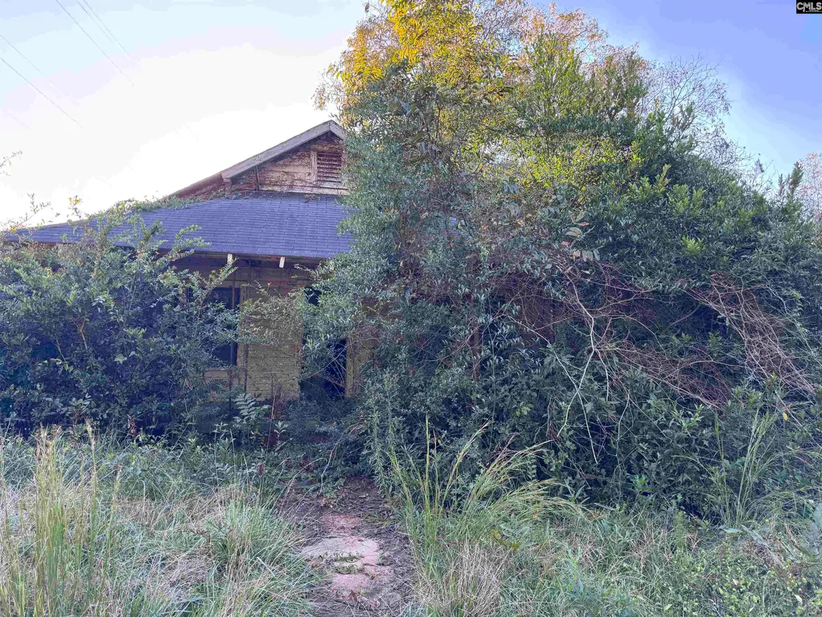 132 Maple Street, Winnsboro, SC 29180 - #1