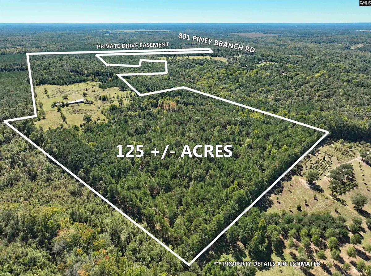 801 Piney Branch Road, Eastover, SC 29044 - #1
