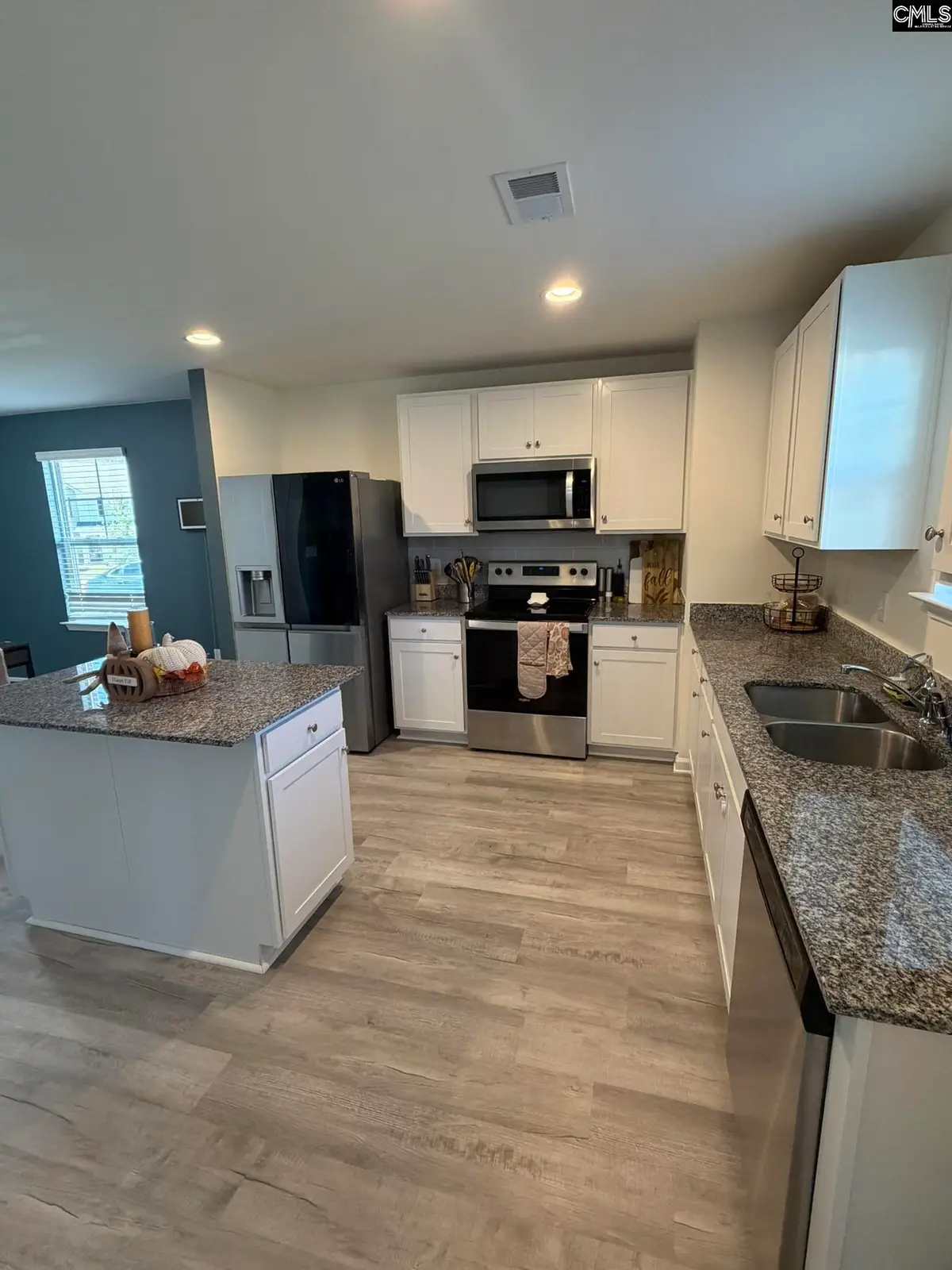 1218 White Chicory Court, Lexington, SC 29073 - #1