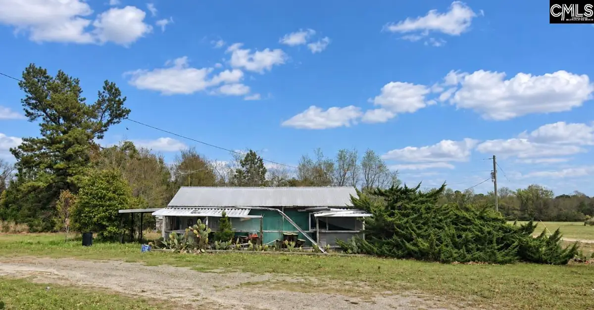 123 Snake Swamp Road, Cope, SC 29038 - #1