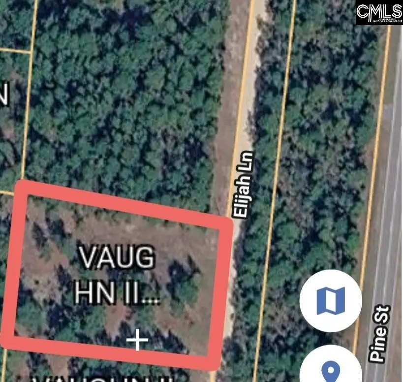 TBD Elijah Lane, Pelion, SC 29123 - #3