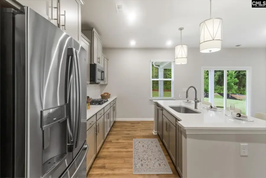 655 Griffon Drive, Chapin, SC 29036 - #3