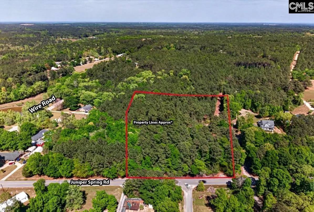 305 Juniper Springs Road, Gilbert, SC 29054 - #1
