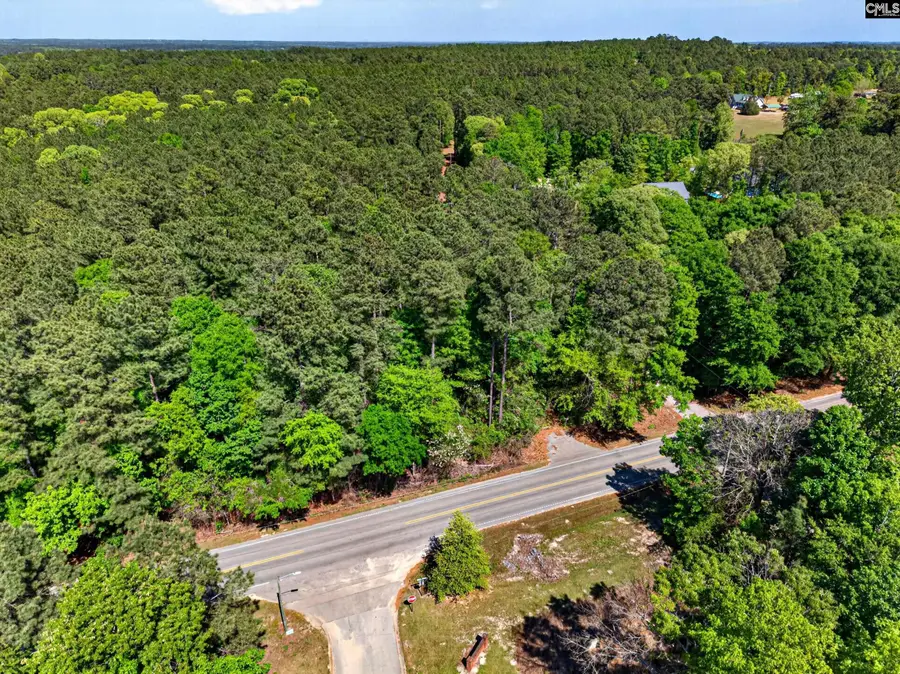 305 Juniper Springs Road, Gilbert, SC 29054 - #2