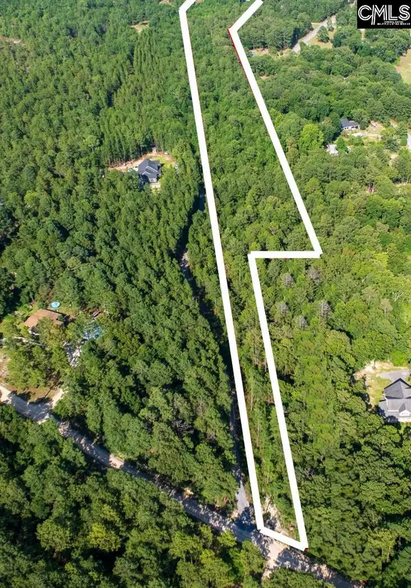 TBD Green Hills Drive, Gilbert, SC 29054