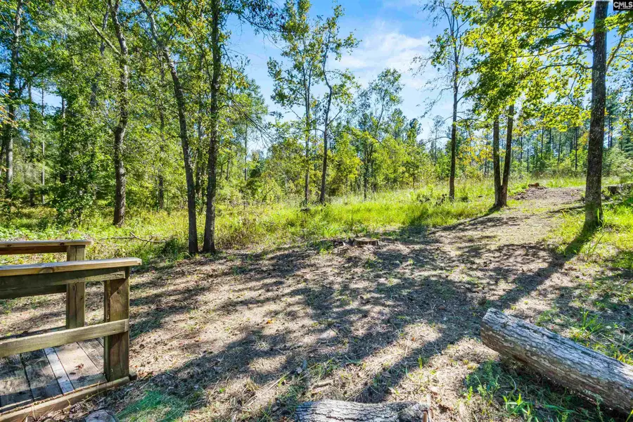 6A Plantation Pointe Road, Ridgeway, SC 29130 - #2