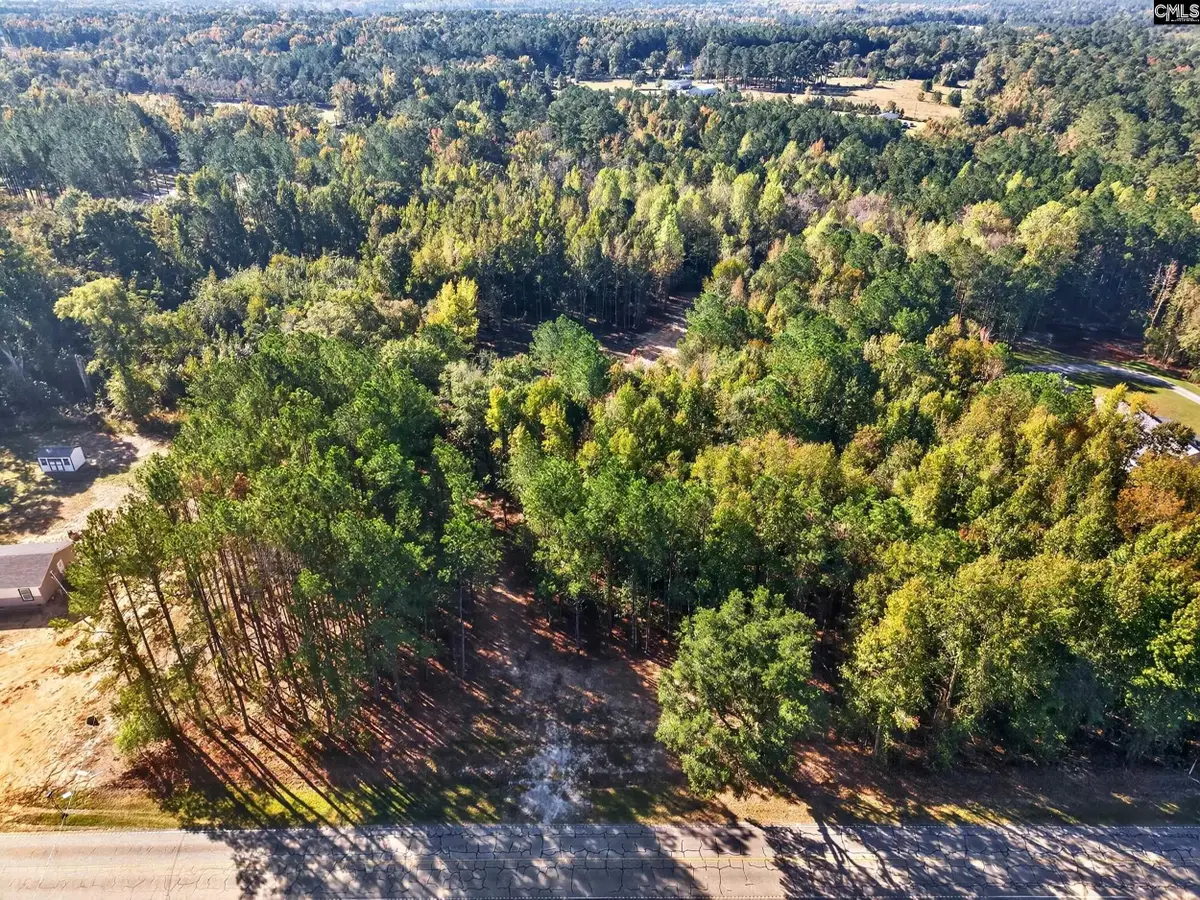255 Riley Road, Saint Matthews, SC 29135 - #1