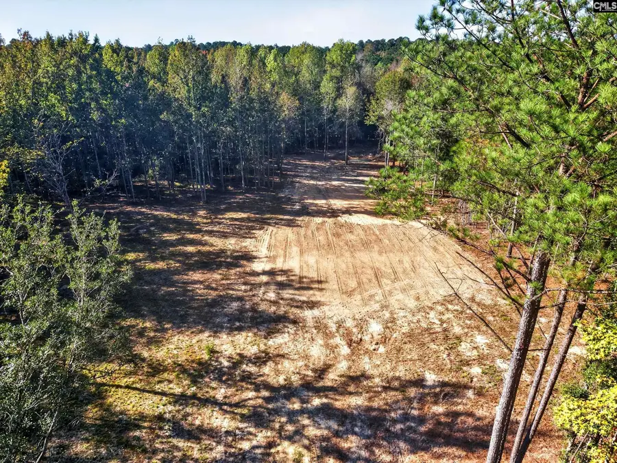255 Riley Road, Saint Matthews, SC 29135 - #3