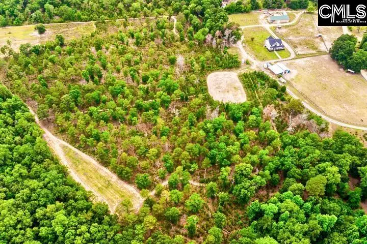 0 Eugene Neese Road, Swansea, SC 29160 - #1