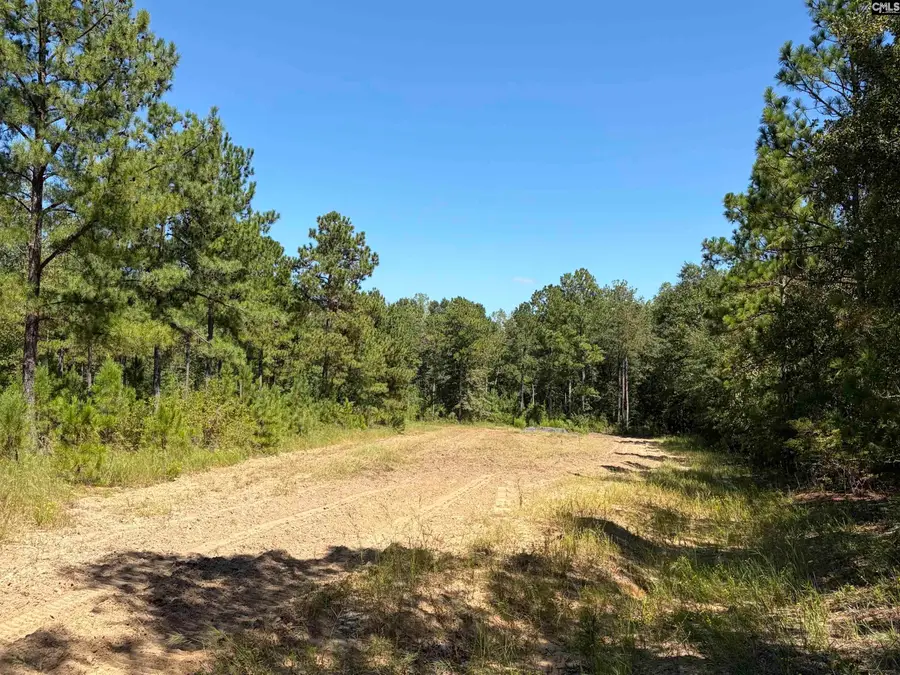 0 Eugene Neese Road, Swansea, SC 29160 - #3