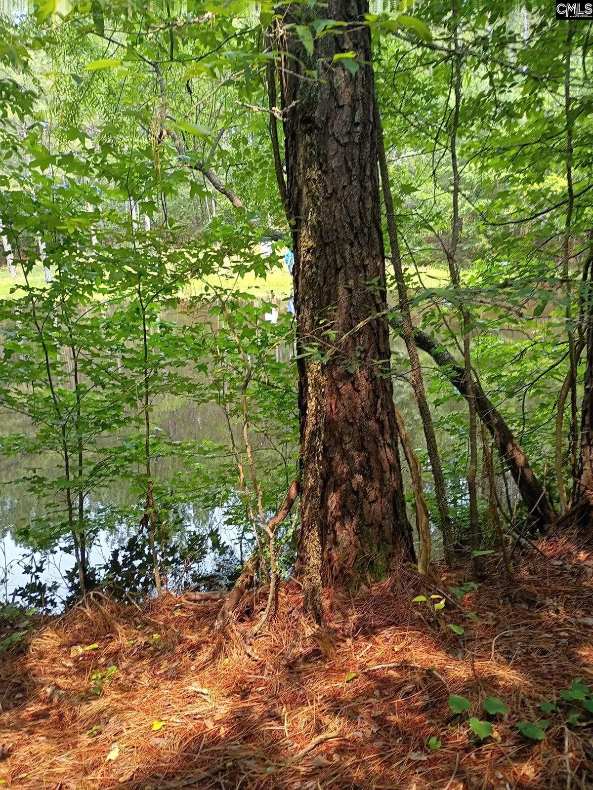 Off Mcdowell Road, Edgefield, SC 29824 - #1