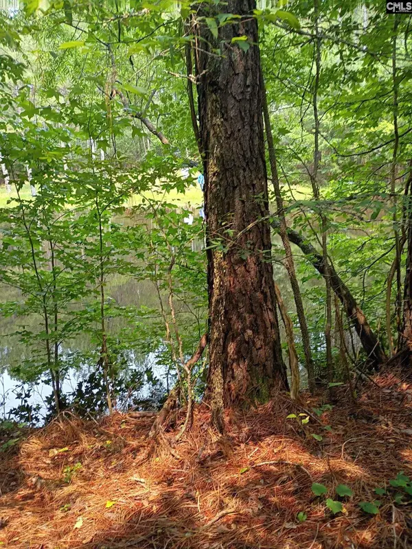 Off Mcdowell Road, EDGEFIELD, SC 29824