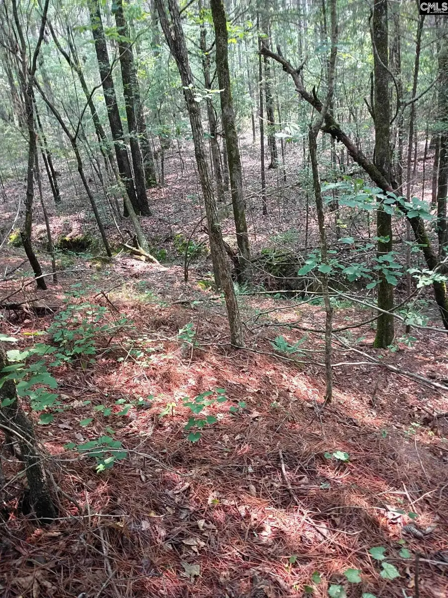 Off Mcdowell Road, Edgefield, SC 29824 - #3
