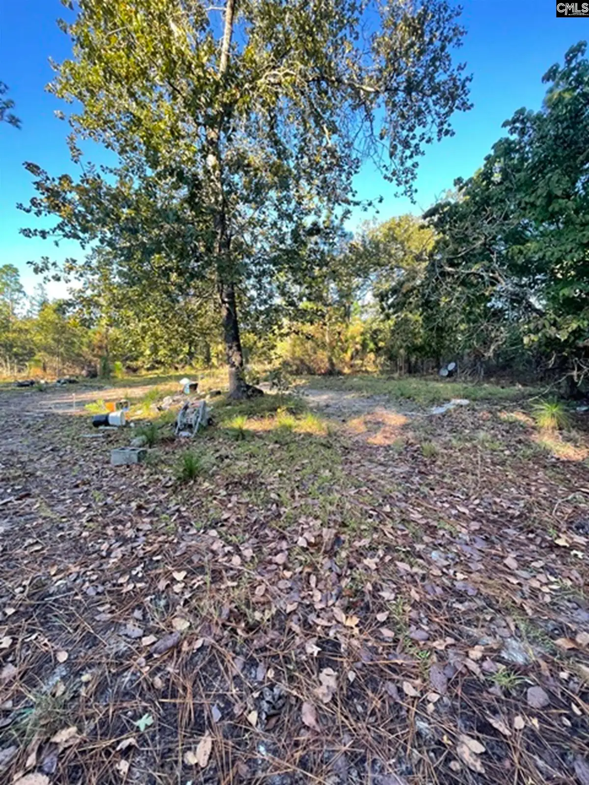 5038 Aggravashun Circle, Wagener, SC 29167 - #1