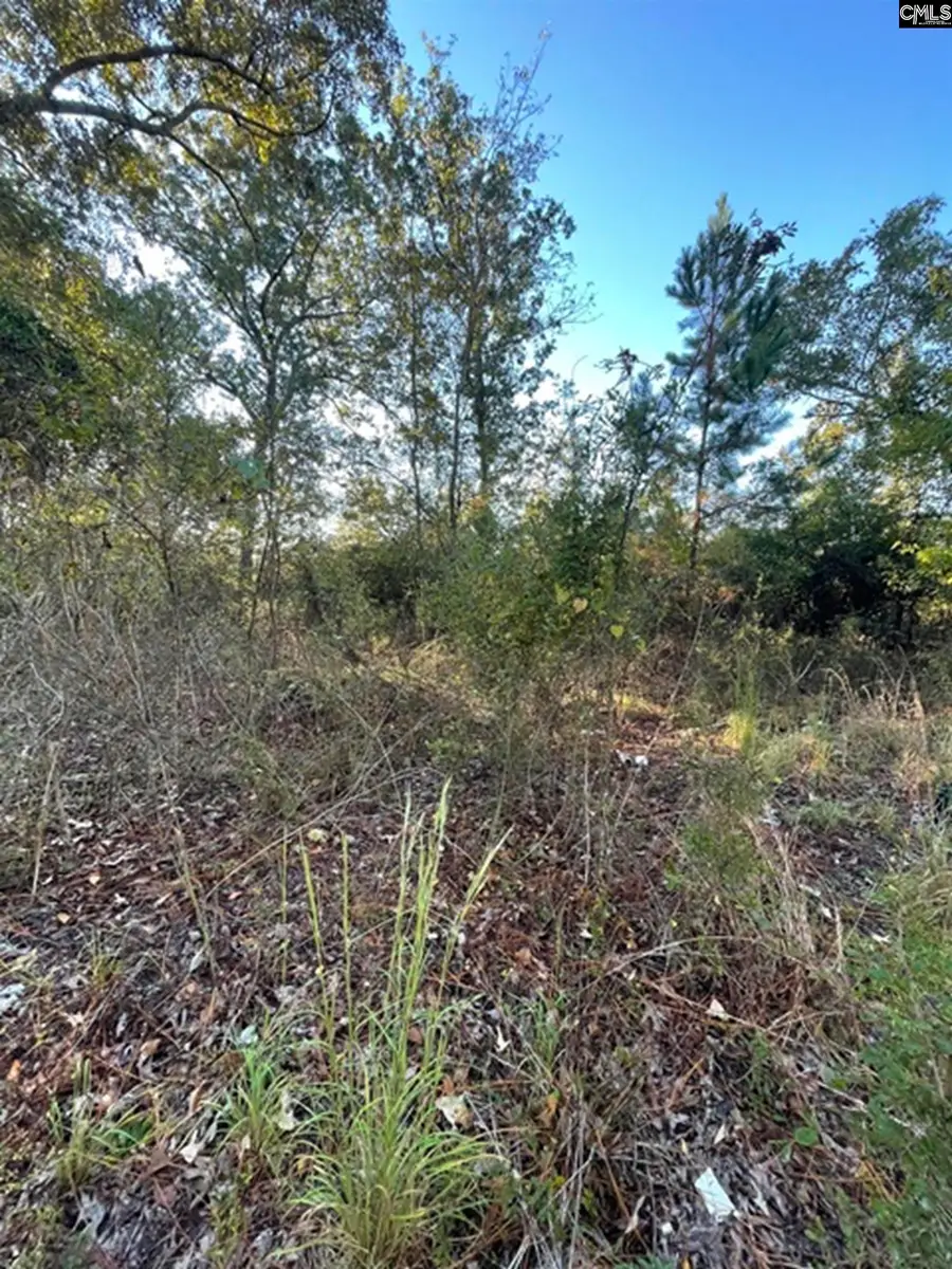 5038 Aggravashun Circle, Wagener, SC 29167 - #2