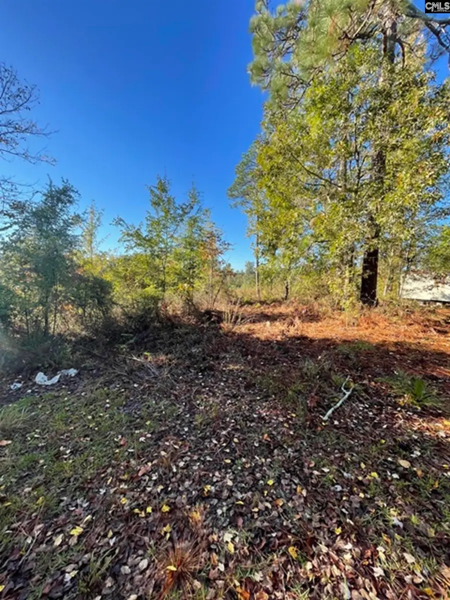 5038 Aggravashun Circle, Wagener, SC 29167 - #3
