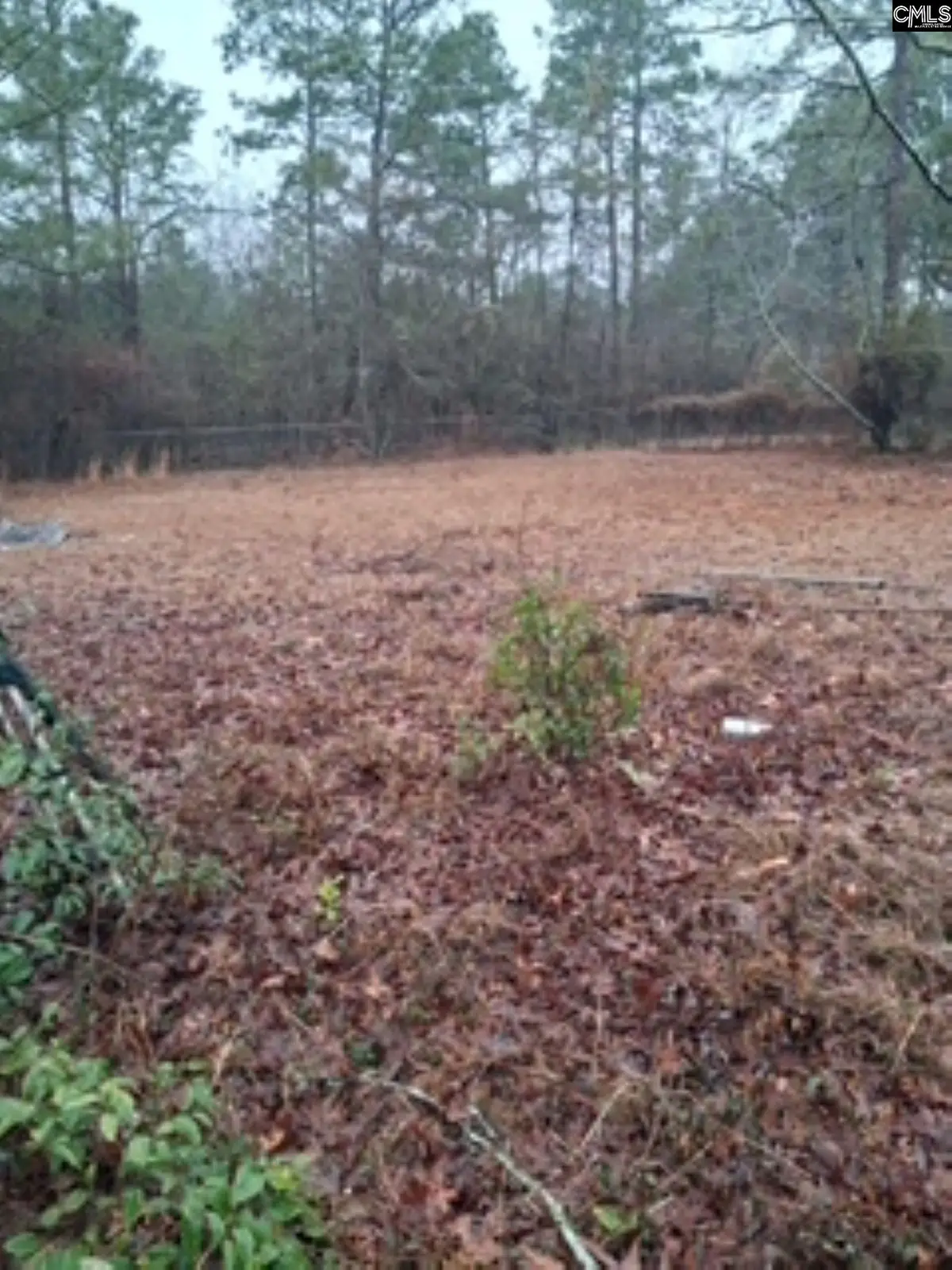 114 Burnt Pine Court, Leesville, SC 29070 - #1