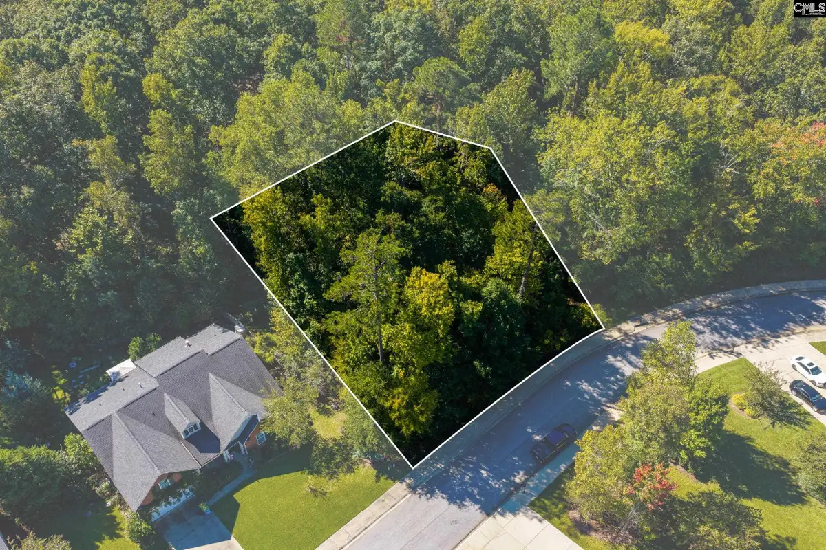 237 Woolbright Lane, Chapin, SC 29036 - #1