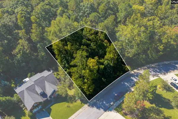 237 Woolbright Lane, Chapin, SC 29036
