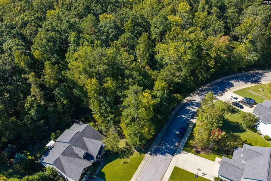 237 Woolbright Lane, Chapin, SC 29036 - #3