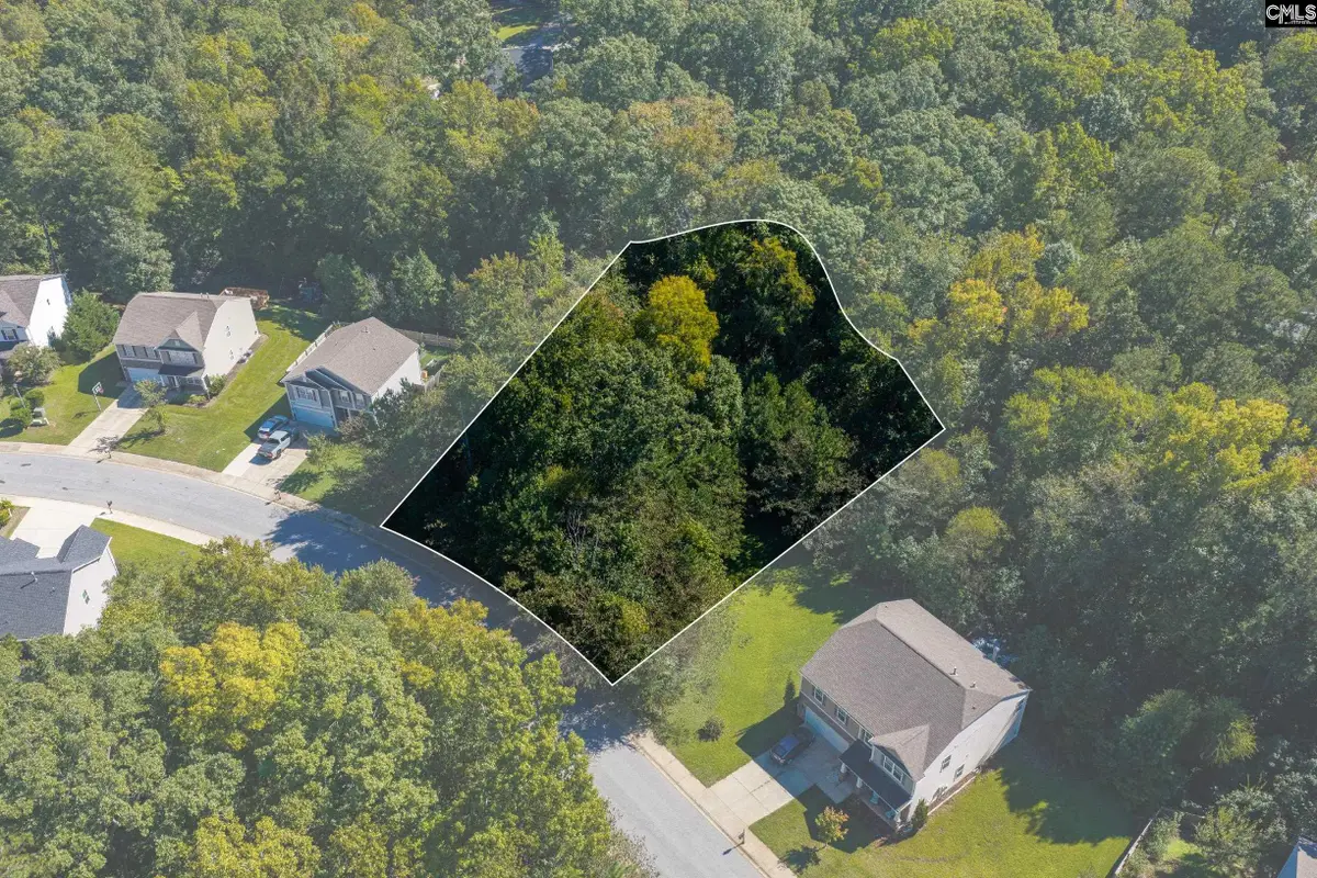 215 Woolbright Lane, Chapin, SC 29036 - #1