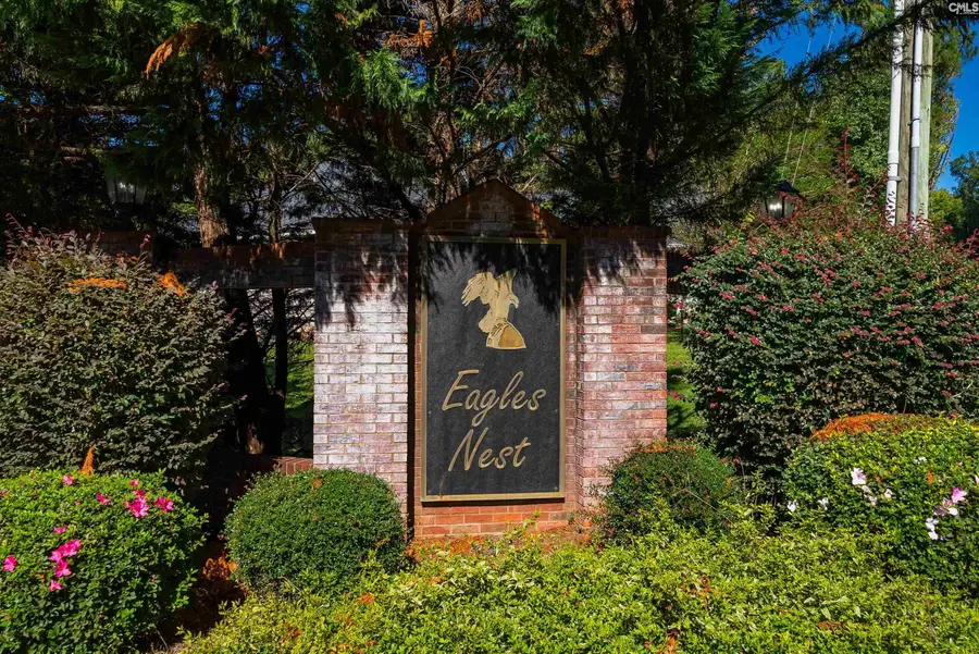 215 Woolbright Lane, Chapin, SC 29036 - #2