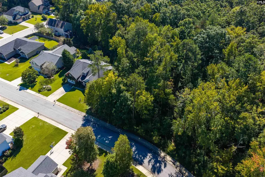 215 Woolbright Lane, Chapin, SC 29036 - #3
