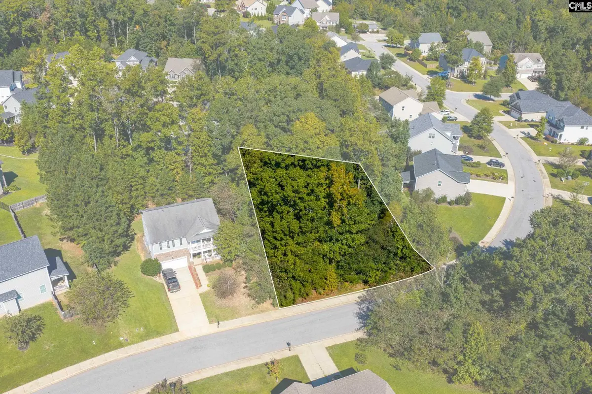 212 Woolbright Lane, Chapin, SC 29036 - #1