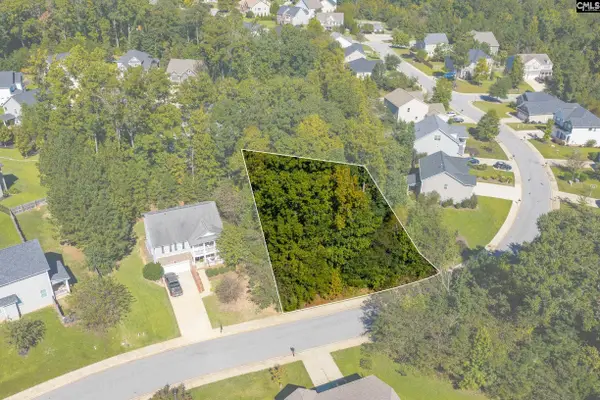 212 Woolbright Lane, Chapin, SC 29036
