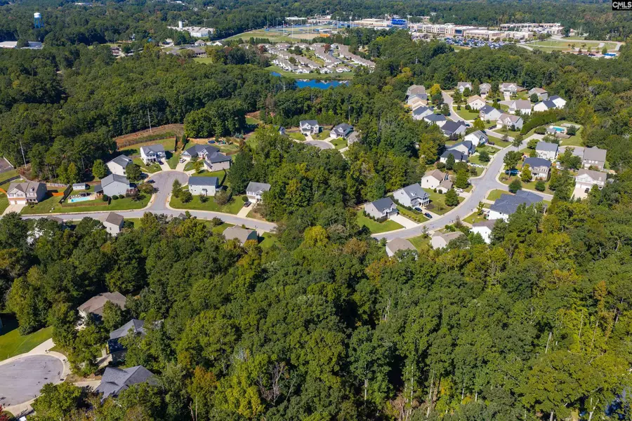 212 Woolbright Lane, Chapin, SC 29036 - #3