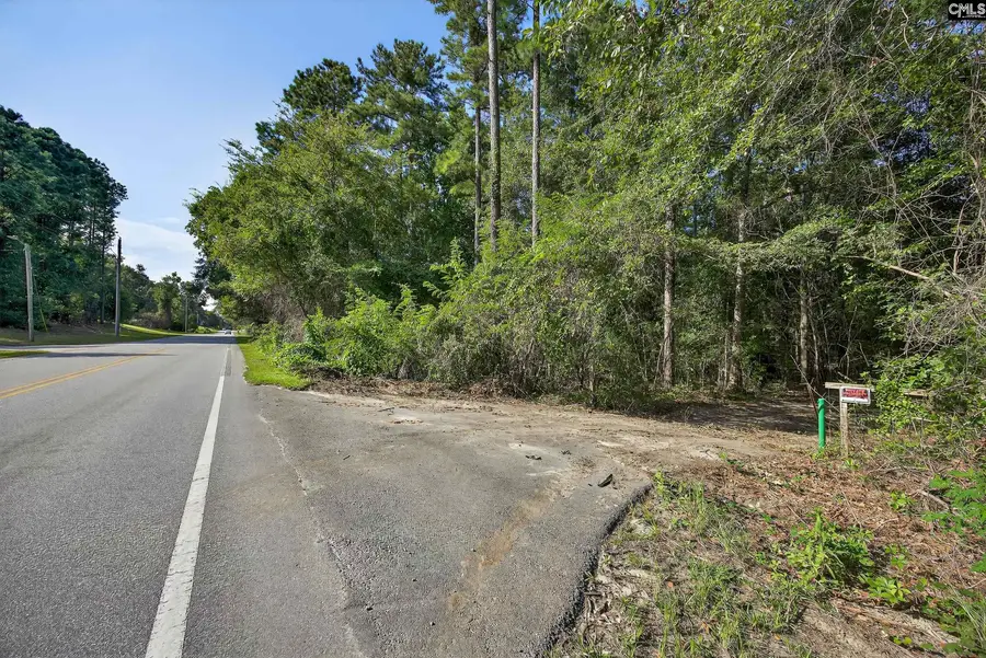 0 Juniper Springs Road, Gilbert, SC 29054 - #3
