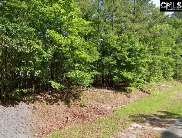 1001 Robinson Road, Ridgeway, SC 29130