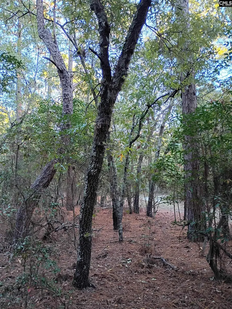 TBD Cleveland School Road, Camden, SC 29020 - #3
