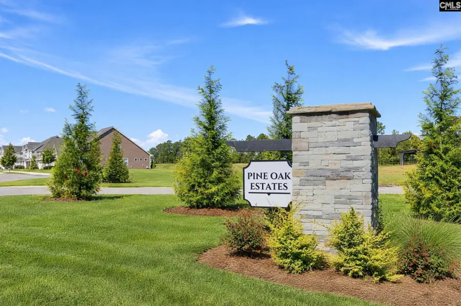 339 Hazelmount Road, Gilbert, SC 29054 - #3