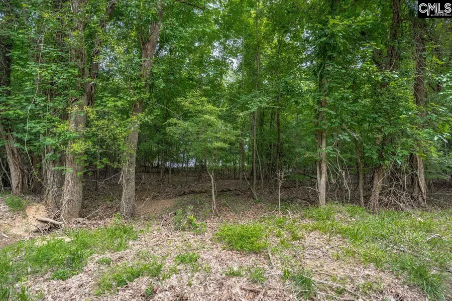1600 Wildwood Cove Road #LOT 2, Leesville, SC 29006 - #3