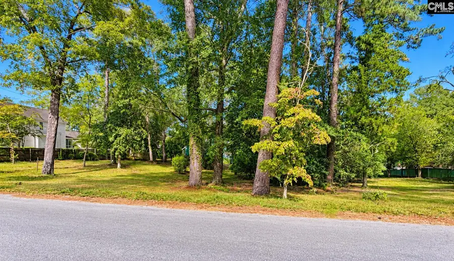 4307 Woodside Haven Drive, Columbia, SC 29206 - #3