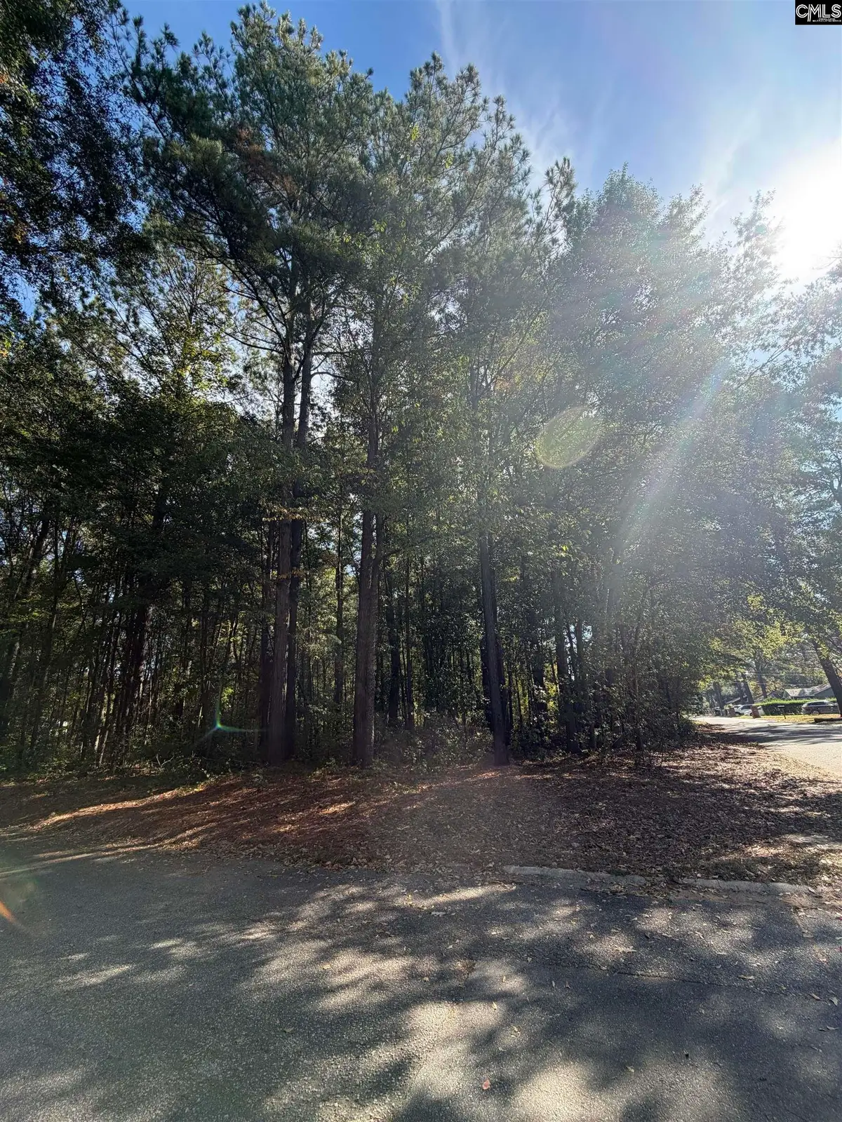 4311 Charter Court, Columbia, SC 29209 - #1