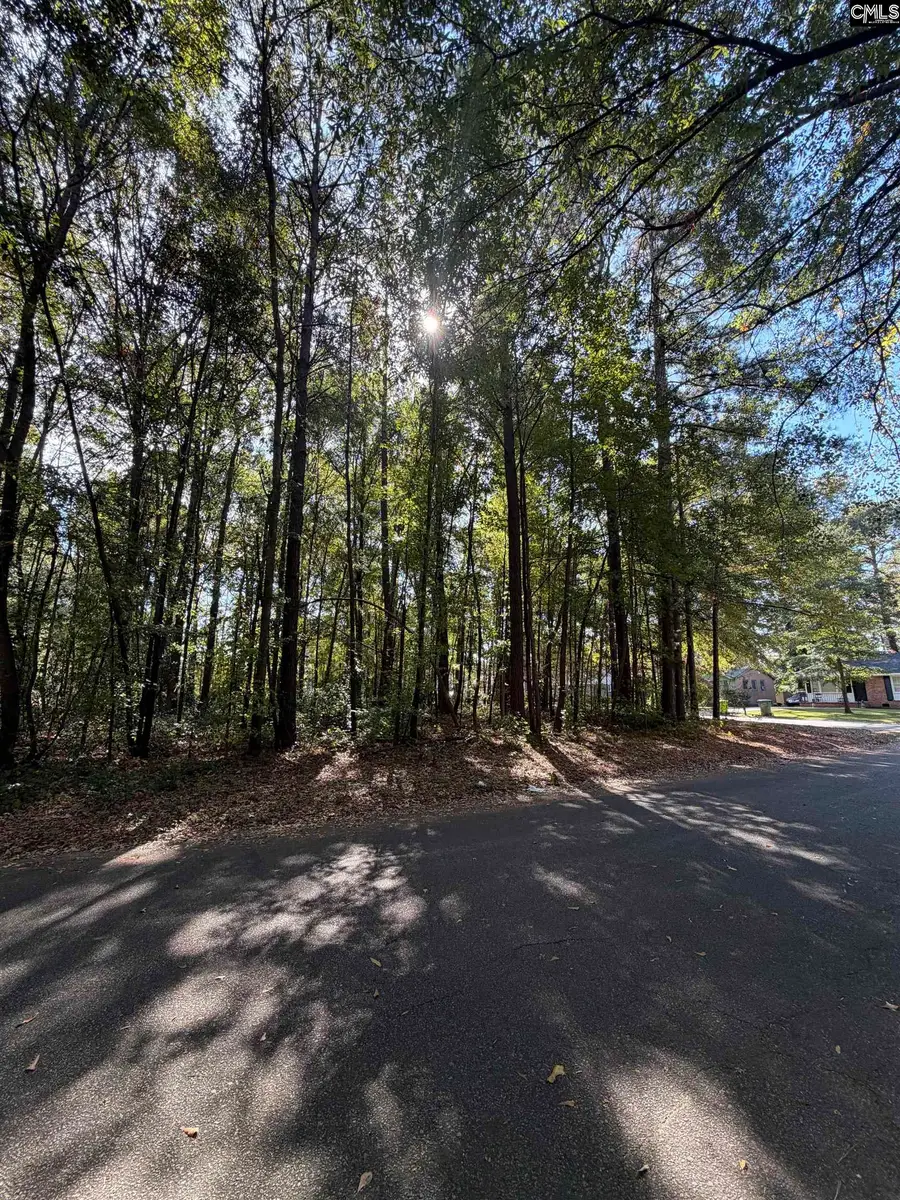 4311 Charter Court, Columbia, SC 29209 - #2