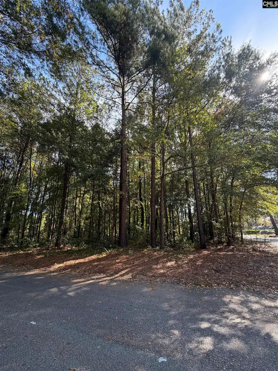 4311 Charter Court, Columbia, SC 29209 - #3
