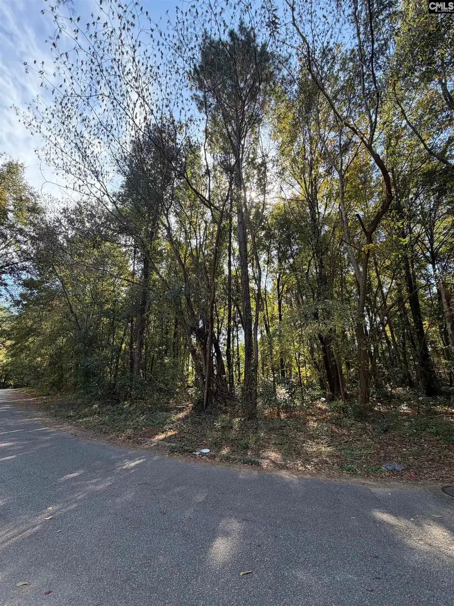 4323 Charter Court, Columbia, SC 29209 - #2