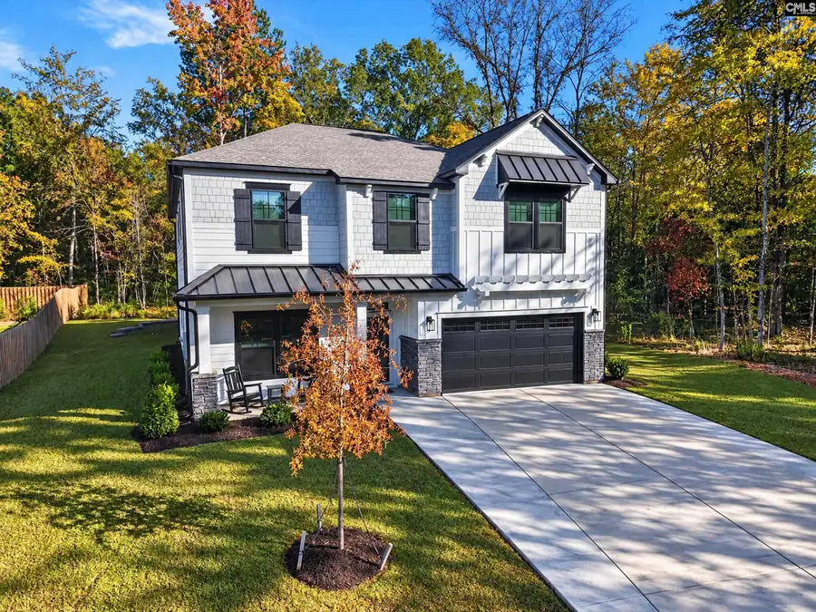 195 Collins Cove Drive, Chapin, SC 29036 - #2