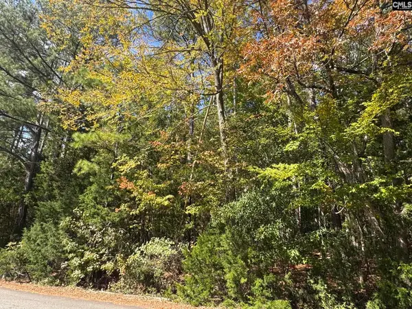 Lot 3 E. Selwood Lane, Columbia, SC 29212