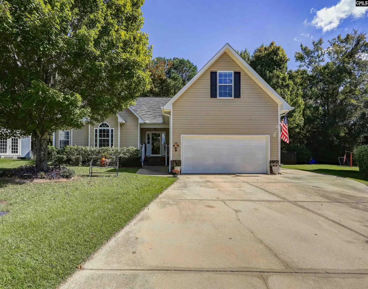 604 Sea Doo Drive, Chapin, SC 29036 - #1