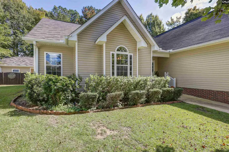 604 Sea Doo Drive, Chapin, SC 29036 - #2