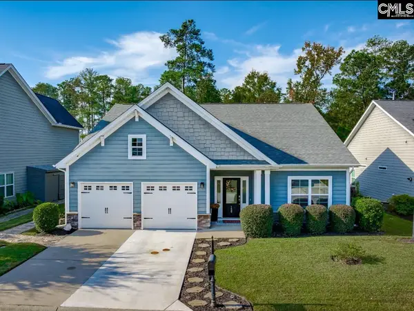 126 Azur Avenue, Chapin, SC 29036